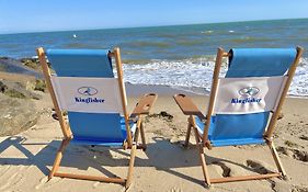 Kingfisher Oceanside